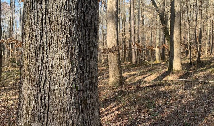 1500 Burton Loop Rd, Altoona, AL 35952 - 0 Beds, 0 Bath
