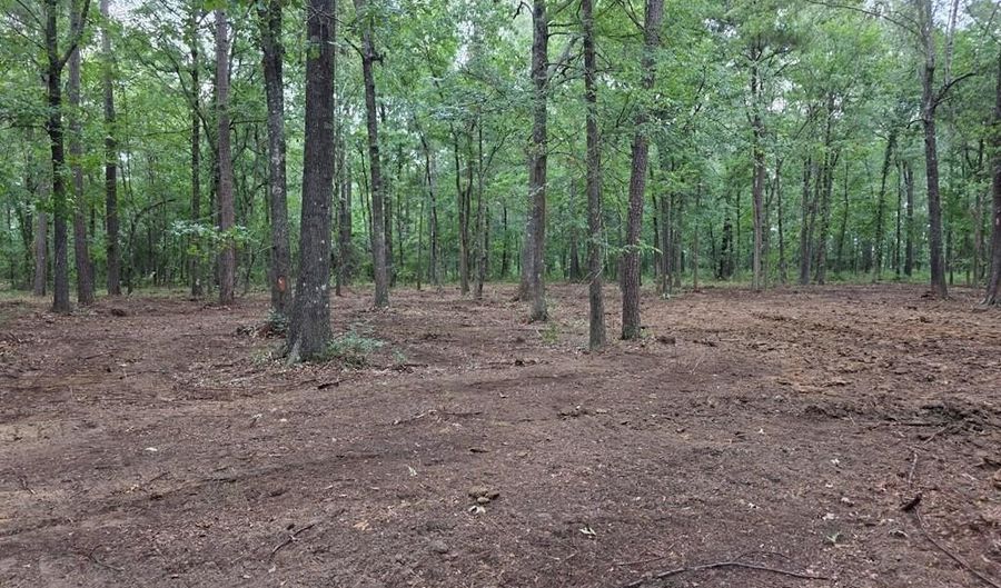 Blume Road lot 9, Alto, TX 75925 - 0 Beds, 0 Bath