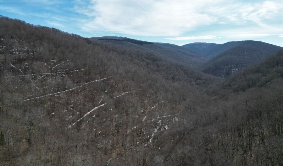 0 TBD Elleber Sods Rd, Bartow, WV 24920 - 0 Beds, 0 Bath
