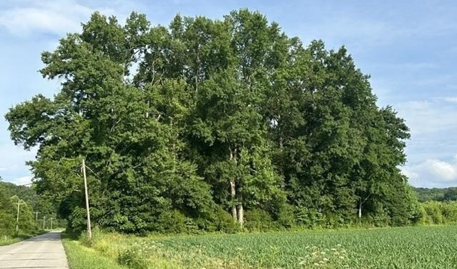 Mineral-Koleen Road, Bloomfield, IN 47424 - 0 Beds, 0 Bath