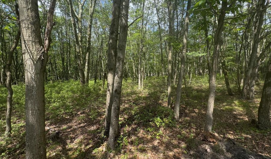 Seneca Trail, Albrightsville, PA 18210 - 0 Beds, 0 Bath