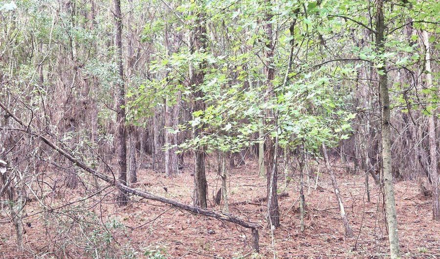 TBD Plowden Mill Road Tract D, Alcolu, SC 29001 - 0 Beds, 0 Bath