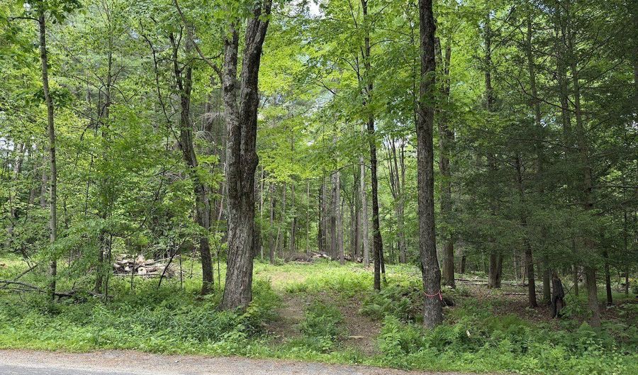 Great Hollow Road, Cornwall, CT 06753 - 0 Beds, 0 Bath