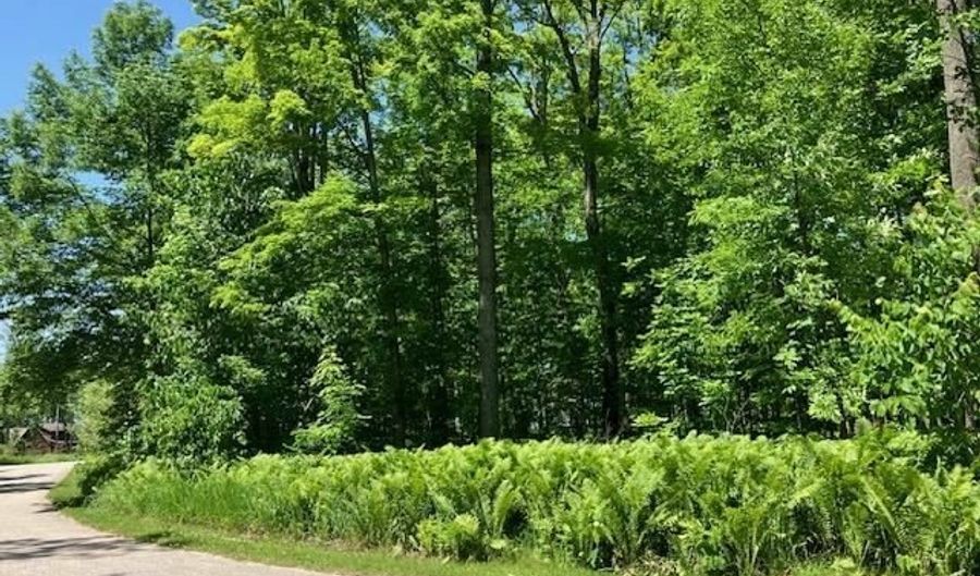 TBD MAPLE ISLE COURT UNIT 32, Alanson, MI 49706 - 0 Beds, 0 Bath