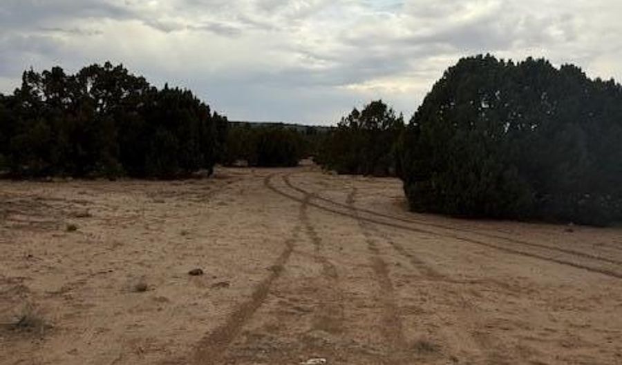 35 County Road 3044, Concho, AZ 85924 - 0 Beds, 0 Bath