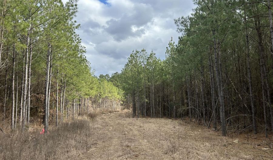 St. Johns Road, Braxton, MS 39044 - 0 Beds, 0 Bath