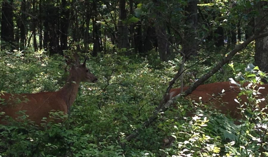 217 Red Ridge Tr & Foothill Rd Trl, Albrightsville, PA 18210 - 0 Beds, 0 Bath