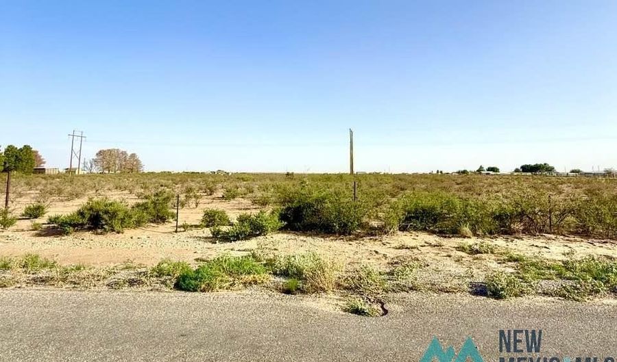 Mcfarland Road, Carlsbad, NM 88220 - 0 Beds, 0 Bath
