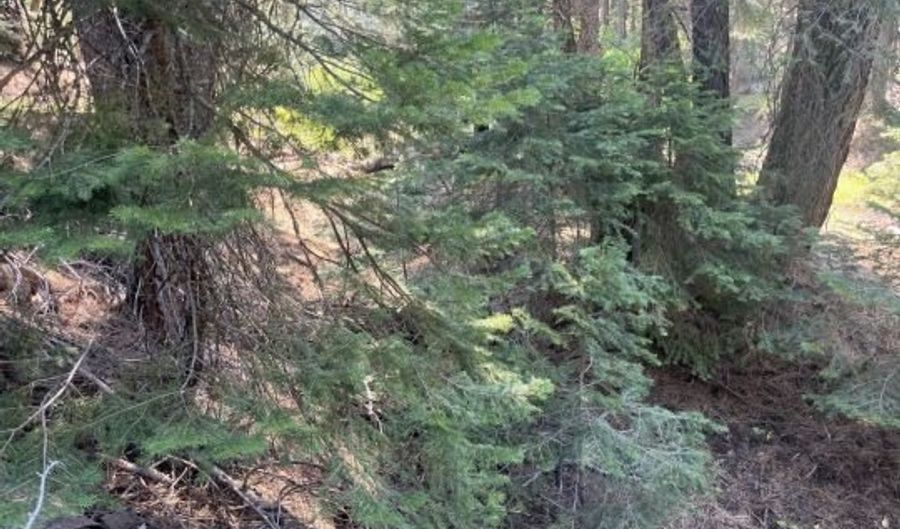 00 Ranch Rd. Rd, Alturas, CA 96101 - 0 Beds, 0 Bath