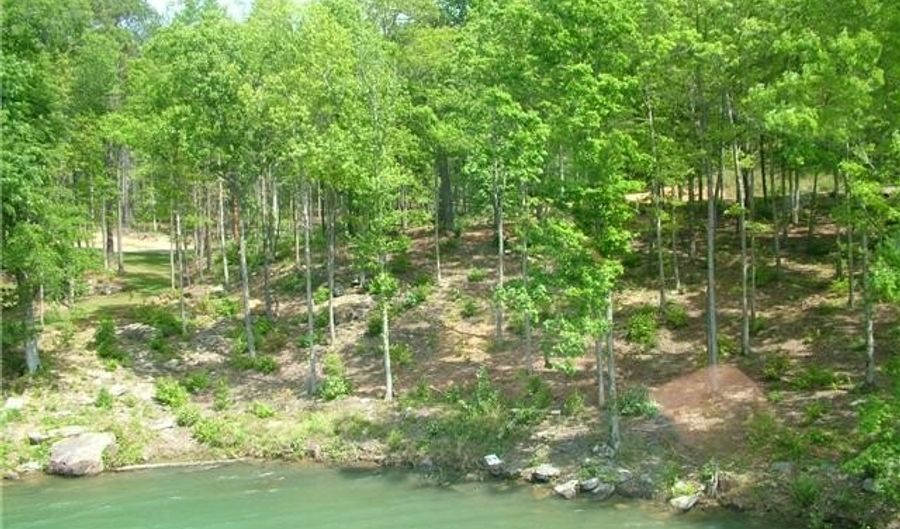 OSPREV AVE lot # 44, Arley, AL 35541 - 0 Beds, 0 Bath