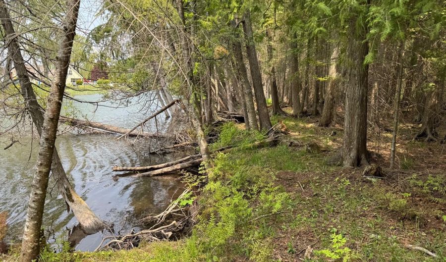 Banwell Road, Alanson, MI 49706 - 0 Beds, 0 Bath