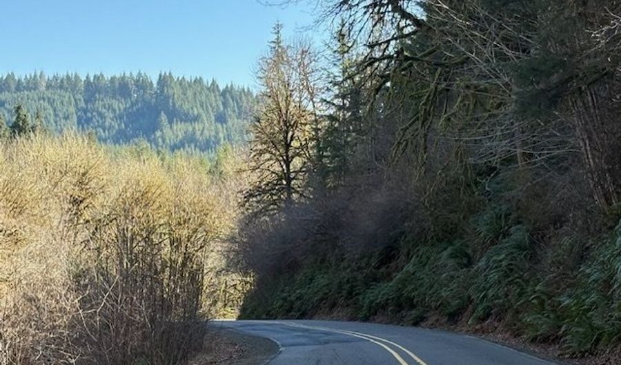 Logsden Rd, Blodgett, OR 97326 - 0 Beds, 0 Bath
