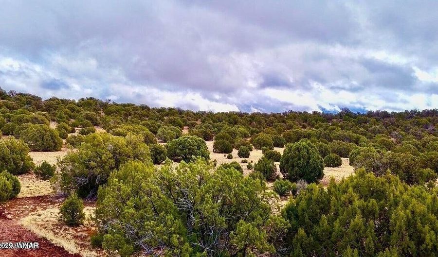 Tbd Co Rd 8256 Lot C 10 Acres, Concho, AZ 85924 - 0 Beds, 0 Bath