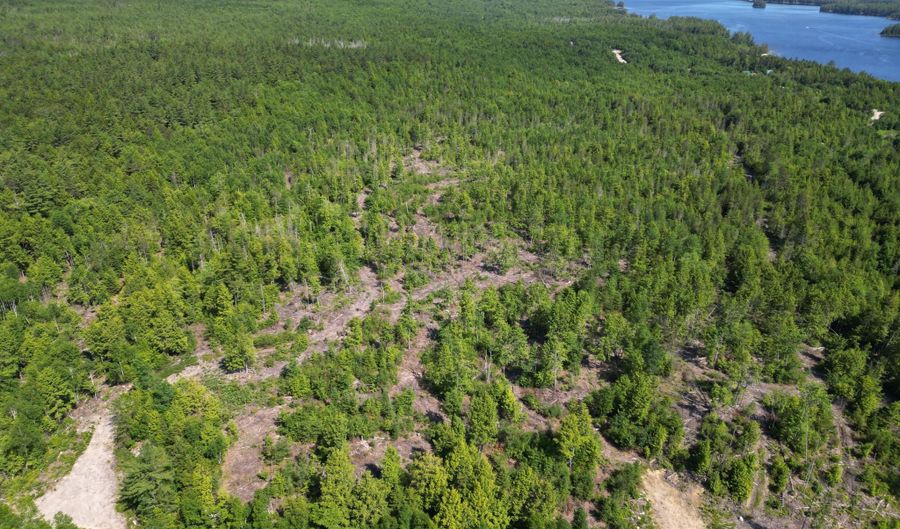 Lot 39 Southwest Brook Lane, Beddington, ME 04622 - 0 Beds, 0 Bath