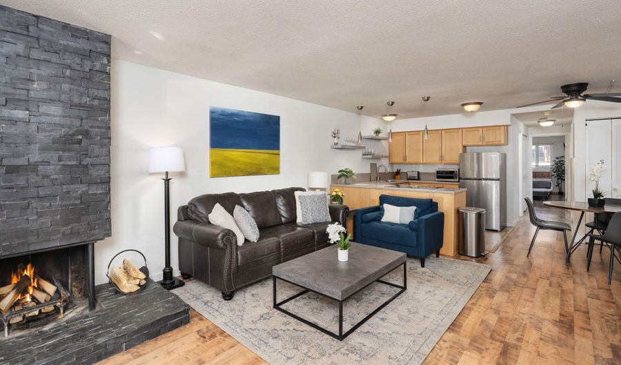 210 E Cooper Ave 1C, Aspen, CO 81611 - 1 Beds, 1 Bath
