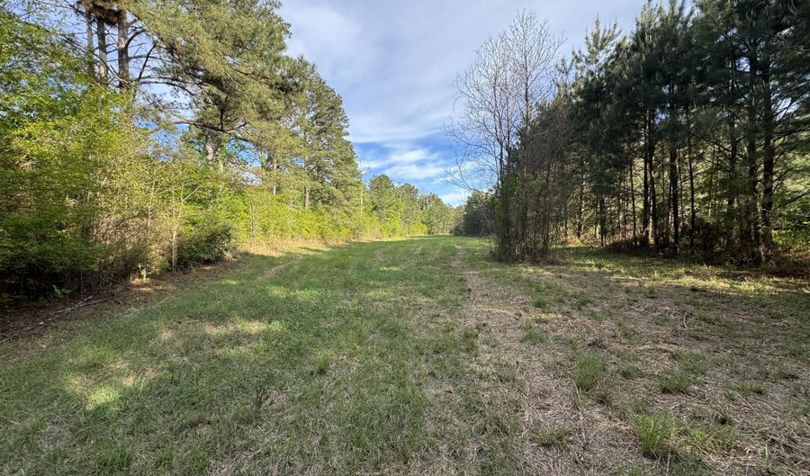 1311 A N Jackson St, Brookhaven, MS 39601 - 0 Beds, 0 Bath