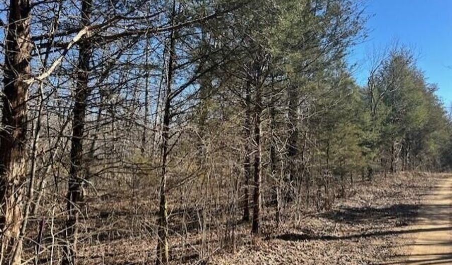 7789 E Co Rd T-561, Ava, MO 65608 - 0 Beds, 0 Bath