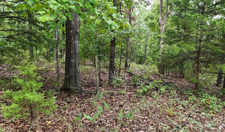 County Road Jj-416, Ava, MO 65608 - 0 Beds, 0 Bath