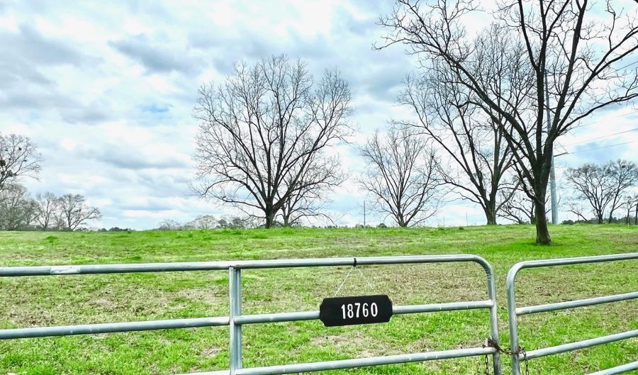 18760 Leon Wiggins Rd, Andalusia, AL 36420 - 0 Beds, 0 Bath