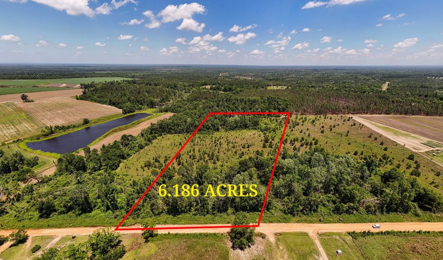 Lot # 2 - 6.2 Ac Perry Horton, Adrian, GA 31002 - 0 Beds, 0 Bath