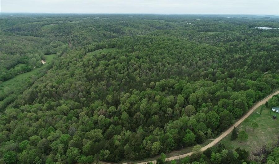 Twin Fork DR, Bergman, AR 72615 - 0 Beds, 0 Bath