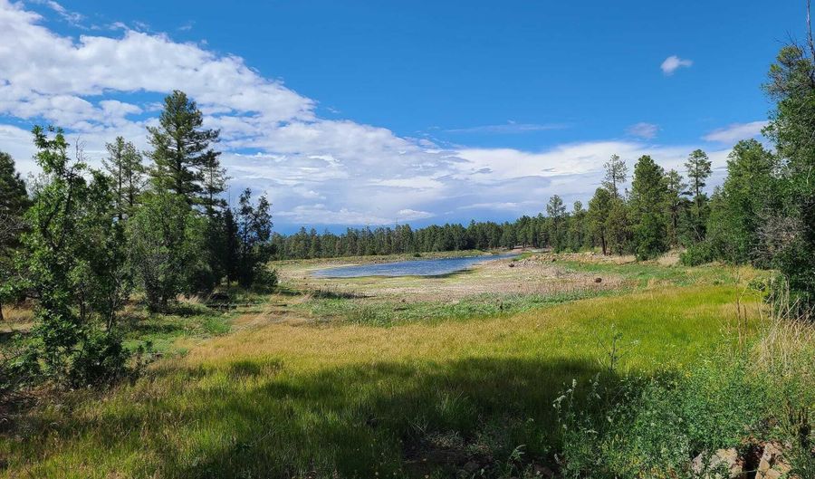 345 CR N3540, Concho, AZ 85924 - 0 Beds, 0 Bath