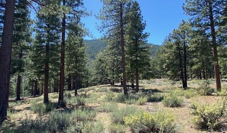 3355 Golf Club Dr 97, Carson City, NV 89705 - 0 Beds, 0 Bath