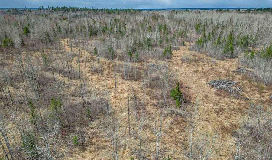 11448 Hwy 22, Angora, MN 55703 - 0 Beds, 0 Bath