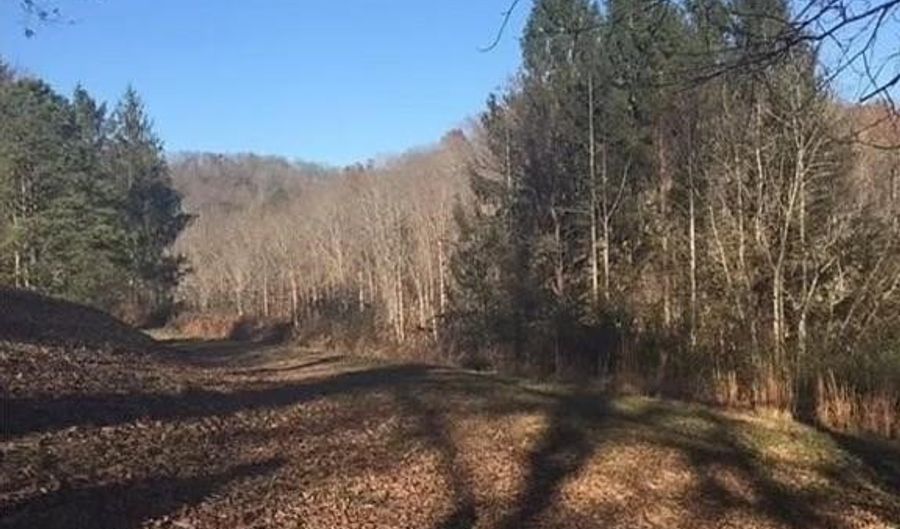 3129 Straight Frk, Alkol, WV 25501 - 0 Beds, 0 Bath