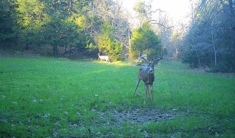 240 Magnolia Ln, Bennington, OK 74723 - 3 Beds, 4 Bath