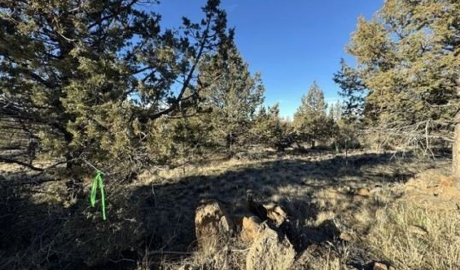 Canvasback Drive, Bonanza, OR 97623 - 0 Beds, 0 Bath