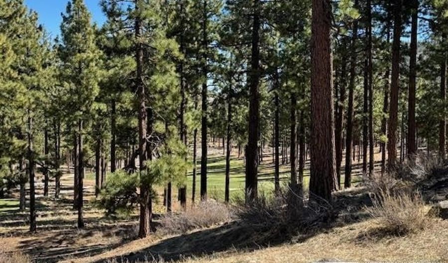 194 Cartwright Ct Lot 244, Carson City, NV 89705 - 0 Beds, 0 Bath