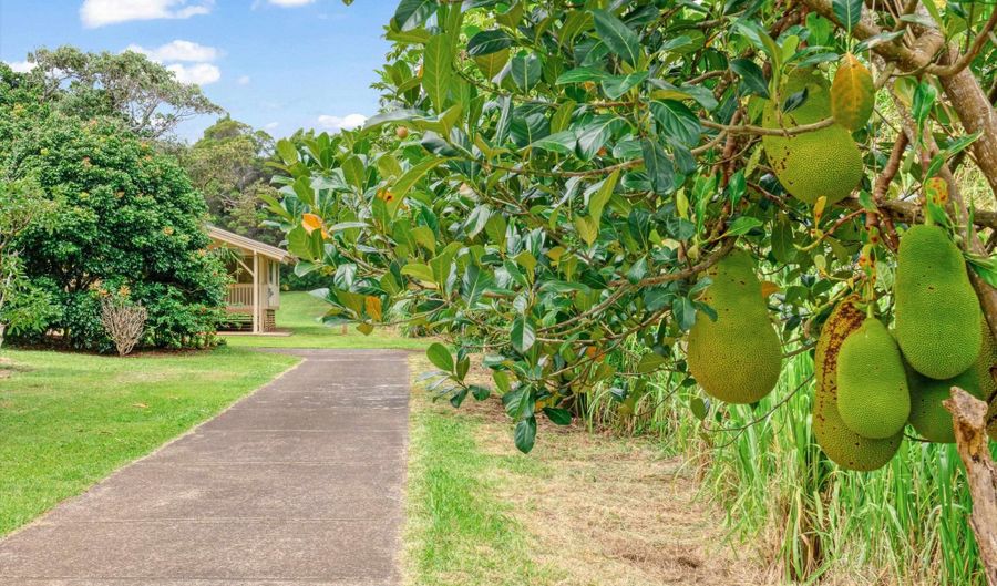 1784 W Kuiaha Rd, Haiku, HI 96708 - 2 Beds, 1 Bath