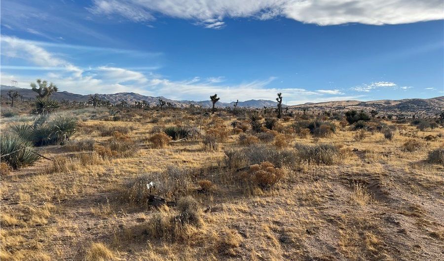 23926 Poppy Rd, Apple Valley, CA 92308 - 0 Beds, 0 Bath