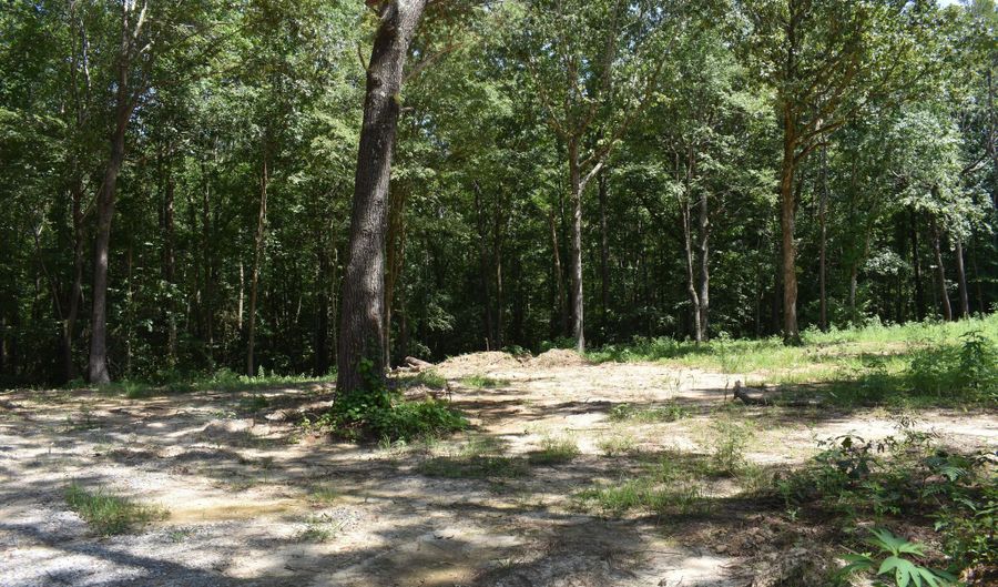 6 Gray Academy Rd, Ashland, MS 38603 - 0 Beds, 0 Bath