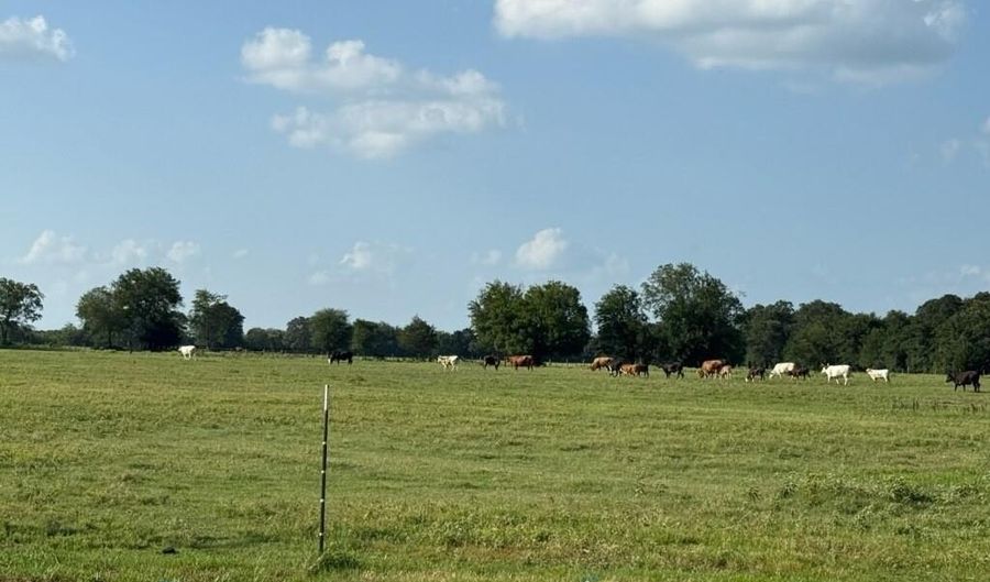 Tbd E Fm 2795, Alba, TX 75410 - 0 Beds, 0 Bath