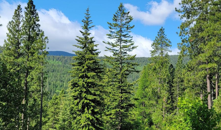 NNA Snowcat Lane, Bonners Ferry, ID 83805 - 0 Beds, 0 Bath