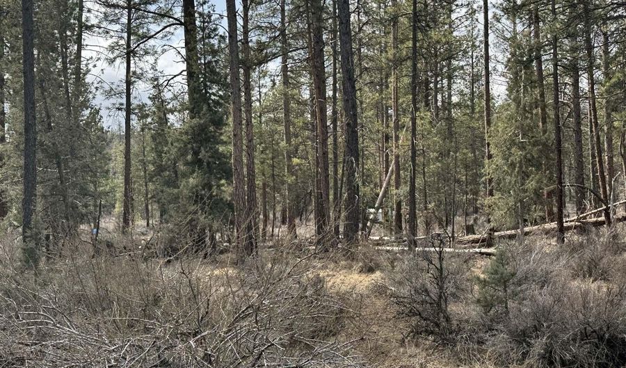 Bufflehead Drive TL 10, Bonanza, OR 97623 - 0 Beds, 0 Bath