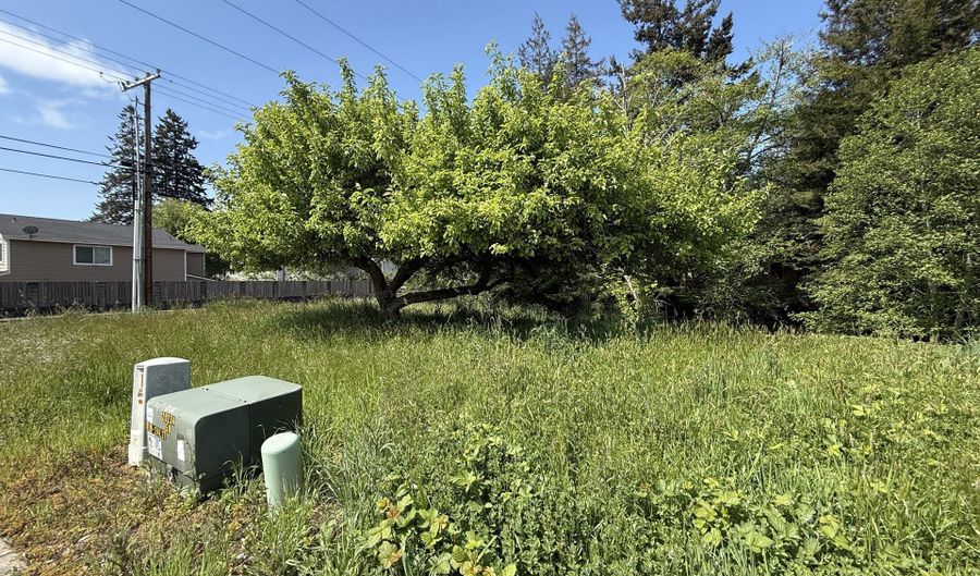 6801 MAGNOLIA Ct Lot #1, Brookings, OR 97415 - 0 Beds, 0 Bath