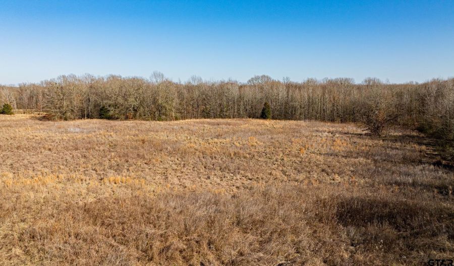 TBD CR 4650, De Kalb, TX 75559 - 0 Beds, 0 Bath