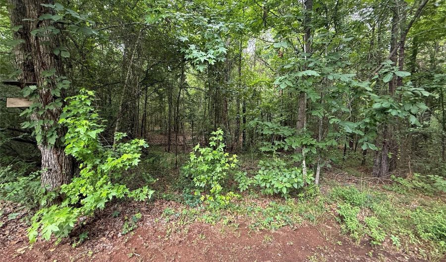 Crouch Road 2, Benton, LA 71006 - 0 Beds, 0 Bath