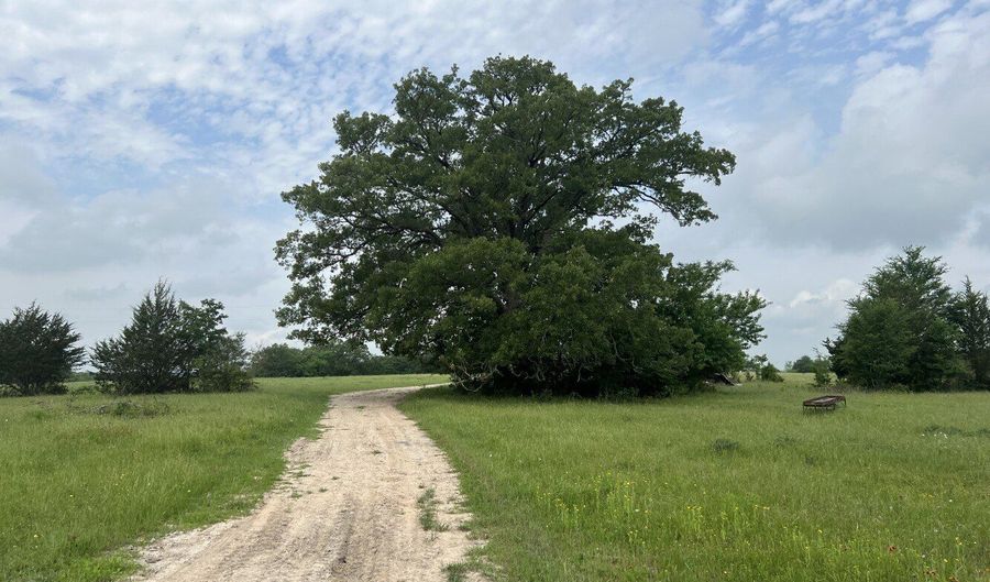 R13945 A0049 J Peterson tract 11 Acres 50.715, Anderson, TX 77830 - 0 Beds, 0 Bath