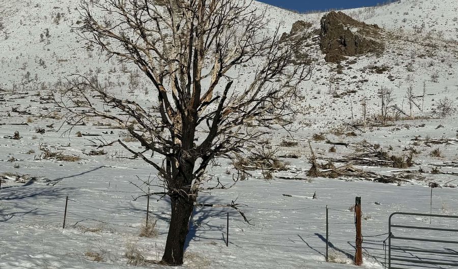 Hwy 395, Gardnerville, NV 89410 - 0 Beds, 0 Bath