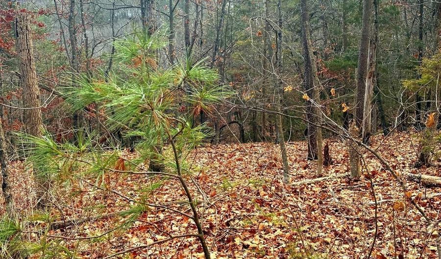 SPITZ Lane, Basye, VA 22810 - 0 Beds, 0 Bath