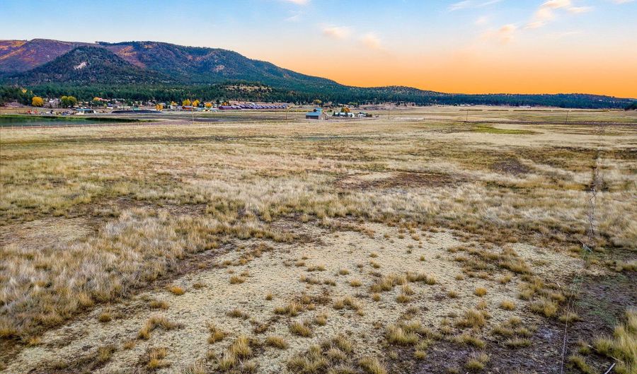 ALPINE UNSUBDIVIDE, Alpine, AZ 85920 - 0 Beds, 0 Bath