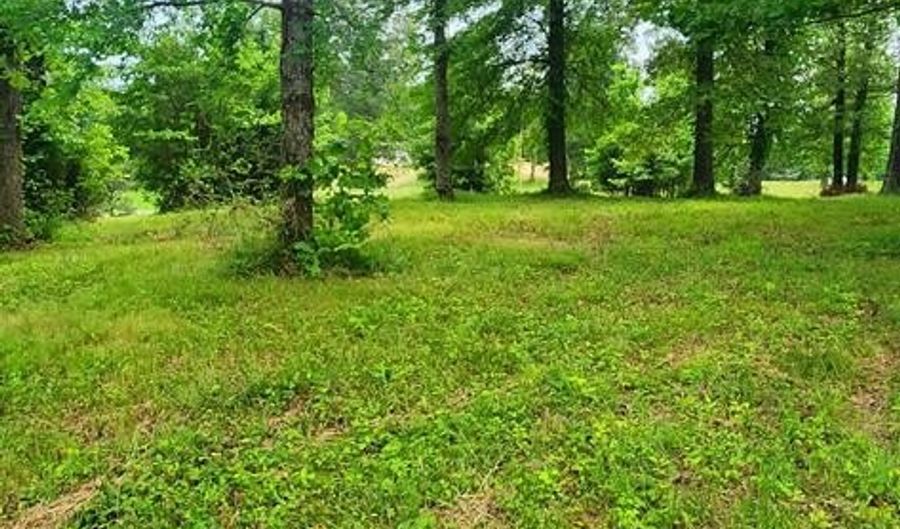 Overlook Ridge, Big Sandy, TN 38221 - 0 Beds, 0 Bath