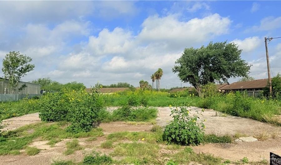 3921 S Alamo Rd, Alamo, TX 78542 - 0 Beds, 0 Bath