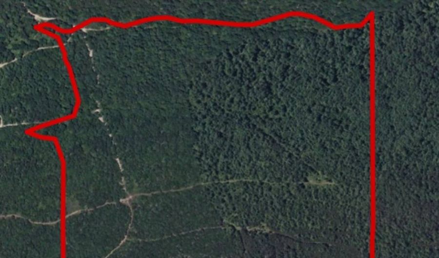 153 ACRES 34.6002 -95.08725, Albion, OK 74571 - 0 Beds, 0 Bath