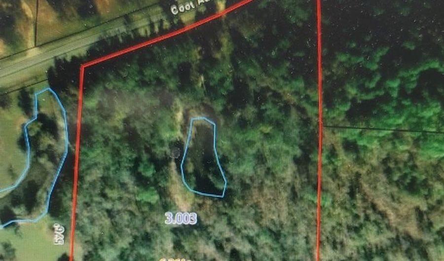 00 Coot Adams Rd, Ashford, AL 36312 - 0 Beds, 0 Bath