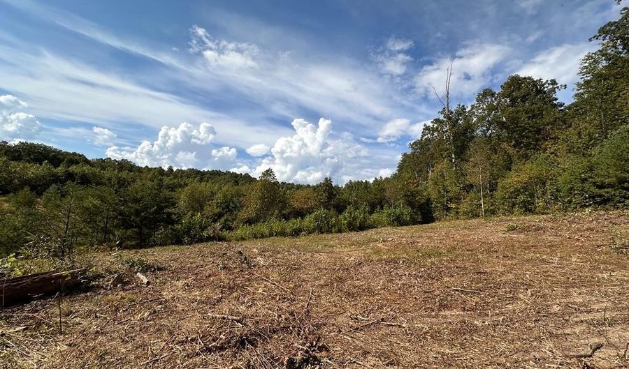 13 44 Ac Chestnut Ridge Rd, Allardt, TN 38504 - 0 Beds, 0 Bath